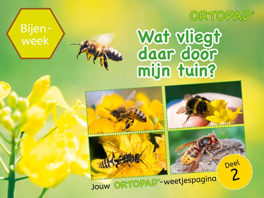 Wereldbijen-dag Deel 2