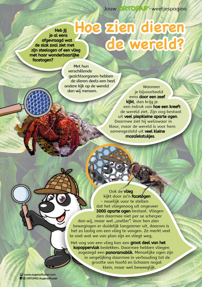Weetjes - Hoe zien dieren de wereld?
